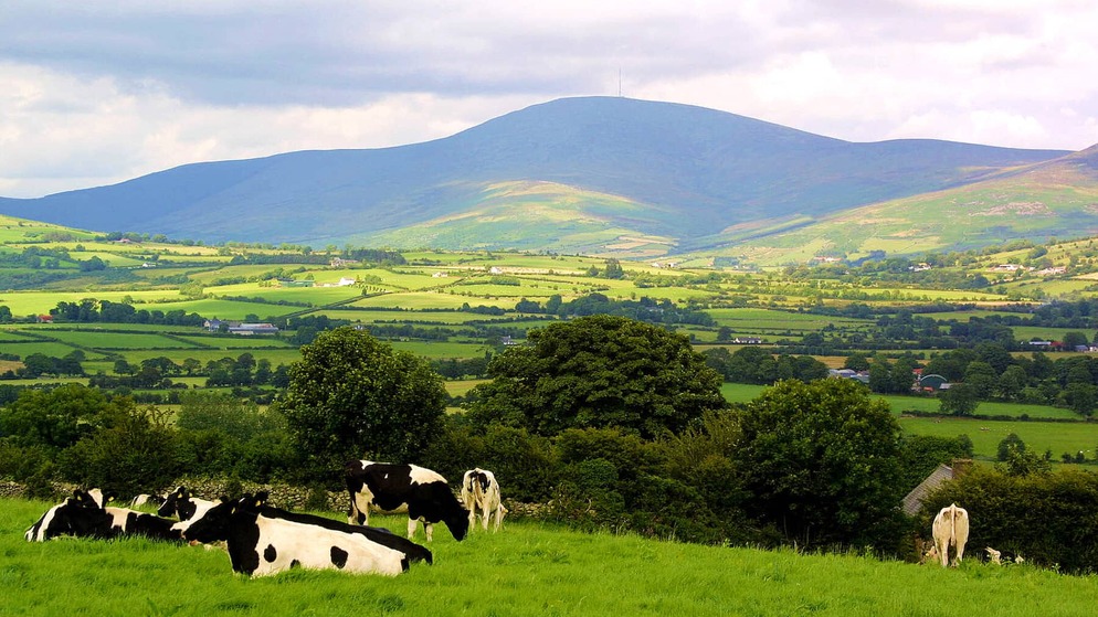 countycarlow-mountleinster-herov1