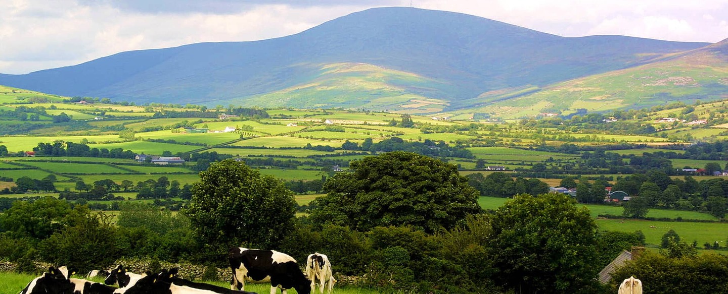 Check out County Carlow | Ireland.com