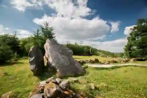 standing-stones-cavan-burren-park