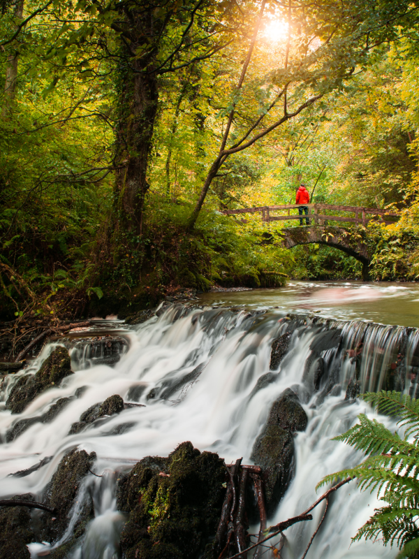 Woodland waterfall and stone bridge surrounded by lush forest in Dún na Rí Forest Park, County Cavan.