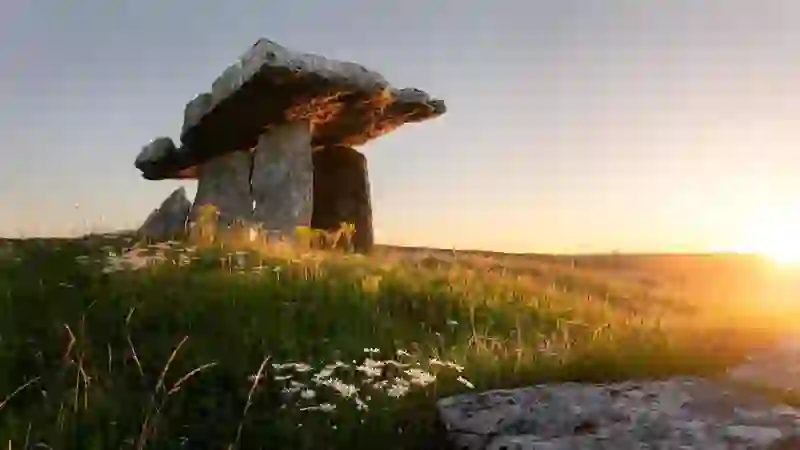Poulnabrone Dolmen at sunset with wildflowers in the Burren, County Clare.