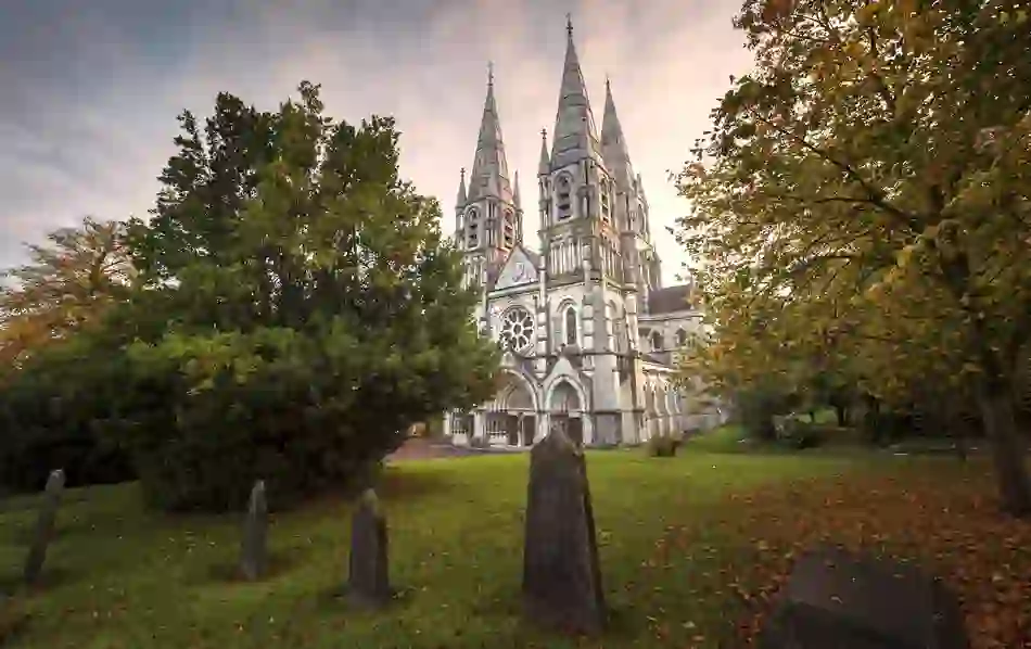 St Fin Barre’s Cathedral in Cork City, gothic spires rising above autumn trees and historic graveyard.