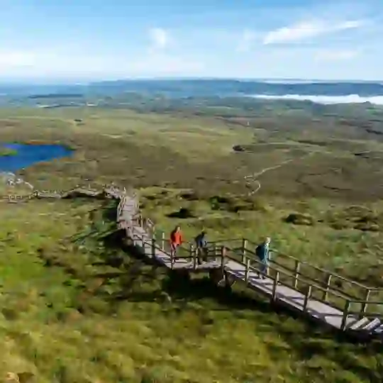 Visitors walk along the Cuilcagh Boardwalk overlooking blanket bog and lakes in County Fermanagh.
