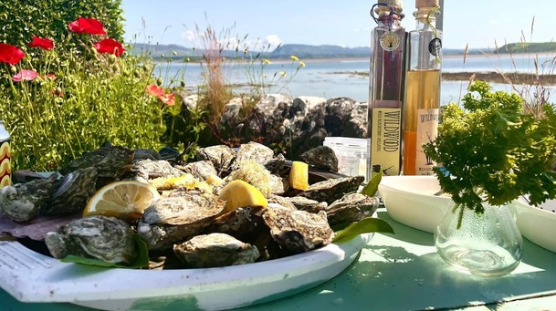 Galway tastes amazing!