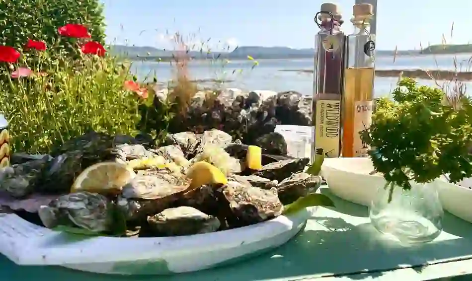 Irish oysters served with lemon beside the Atlantic Ocean on a sunny summer day.