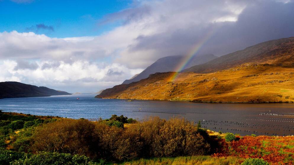 killary-harbour-bg