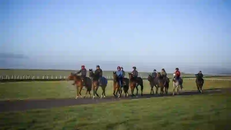 Racehorses and riders exercise on the Curragh training grounds in County Kildare.