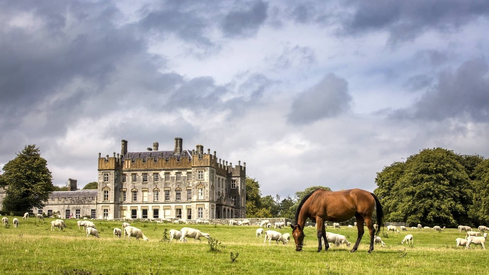 Borris House in County Carlow with grazing horse and sheep in lush green parkland under a cloudy sky.