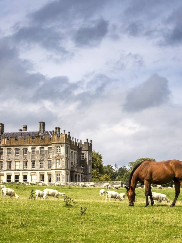 Borris House in County Carlow with grazing horse and sheep in lush green parkland under a cloudy sky.