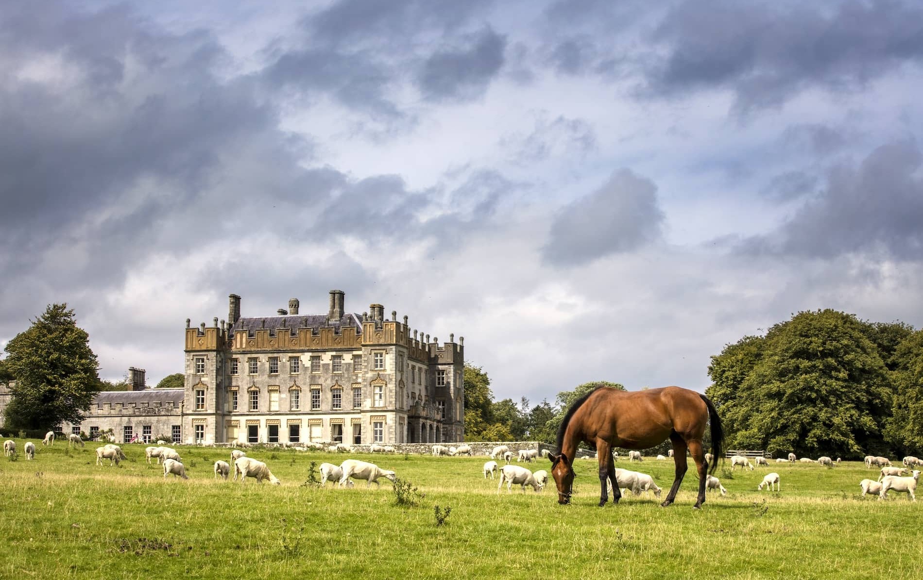 Borris House in County Carlow with grazing horse and sheep in lush green parkland under a cloudy sky.
