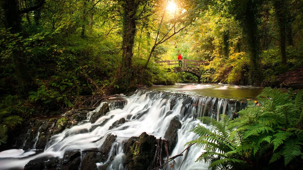 Rabbit Bridge spanning a woodland stream in Dún na Rí Forest Park, County Cavan.