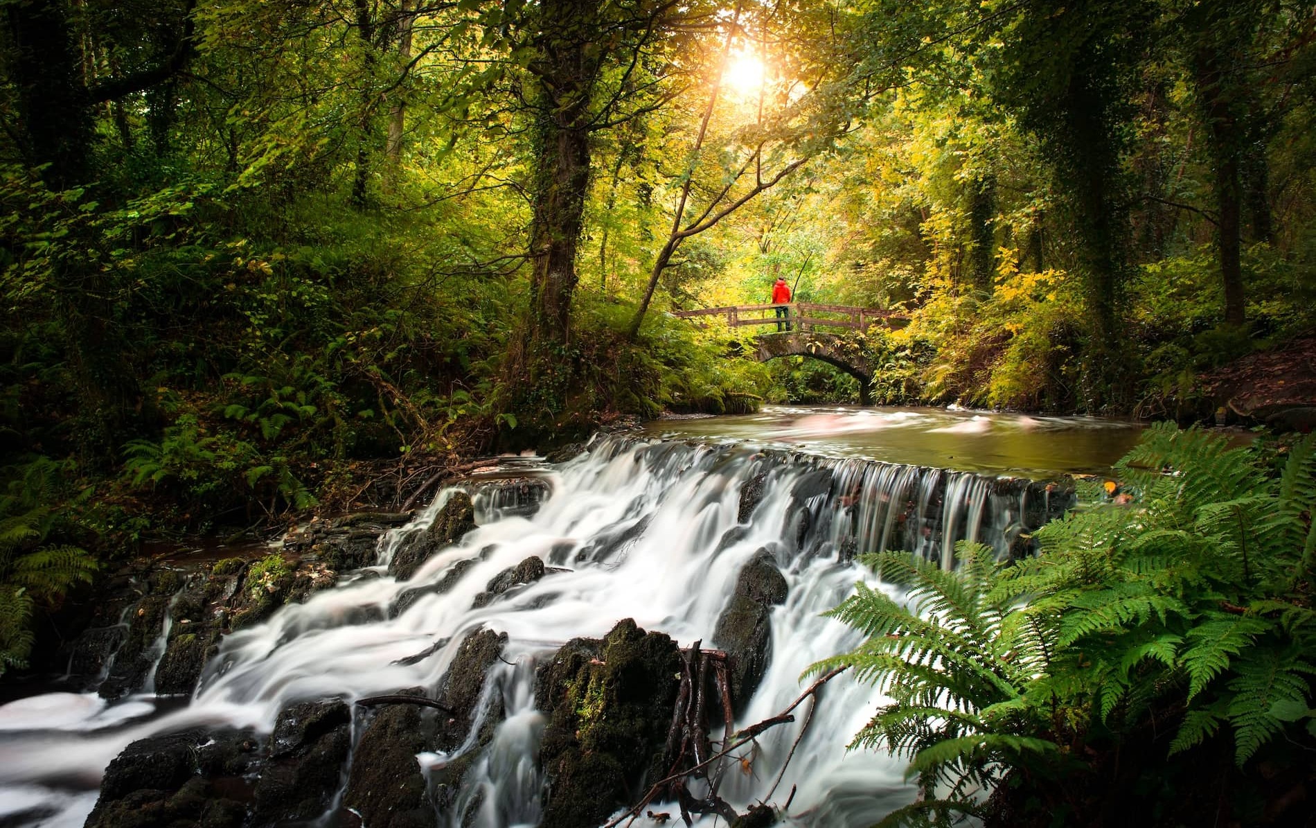 Rabbit Bridge spanning a woodland stream in Dún na Rí Forest Park, County Cavan.