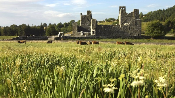 Have you heard about Westmeath?