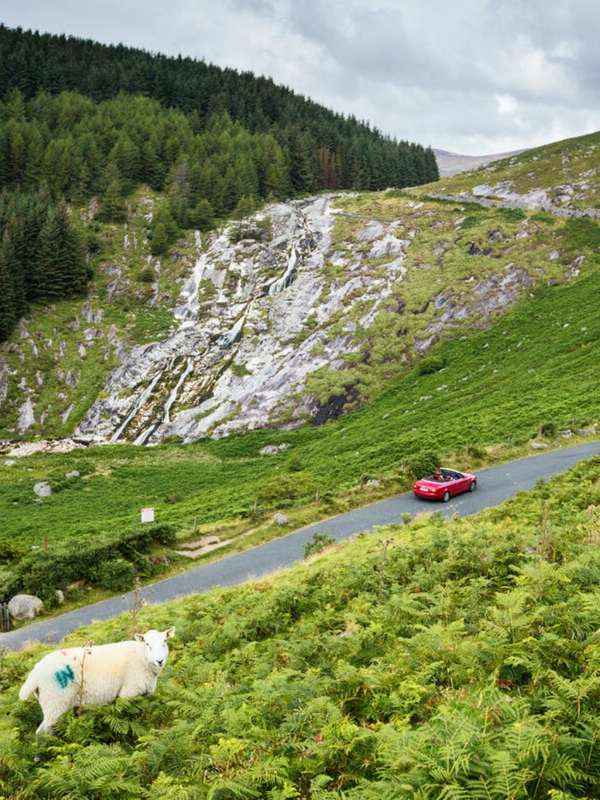 Glenmacnass Waterfall in County Wicklow above a winding road, with a sheep grazing on the hillside.