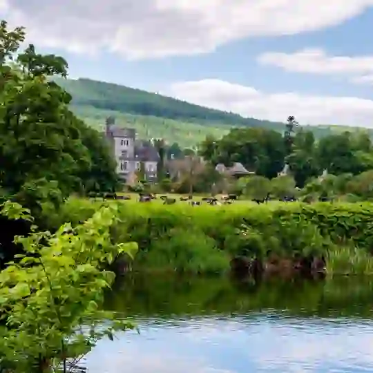 Historic Kilsheelan village beside the River Suir with woodland and countryside, County Tipperary.