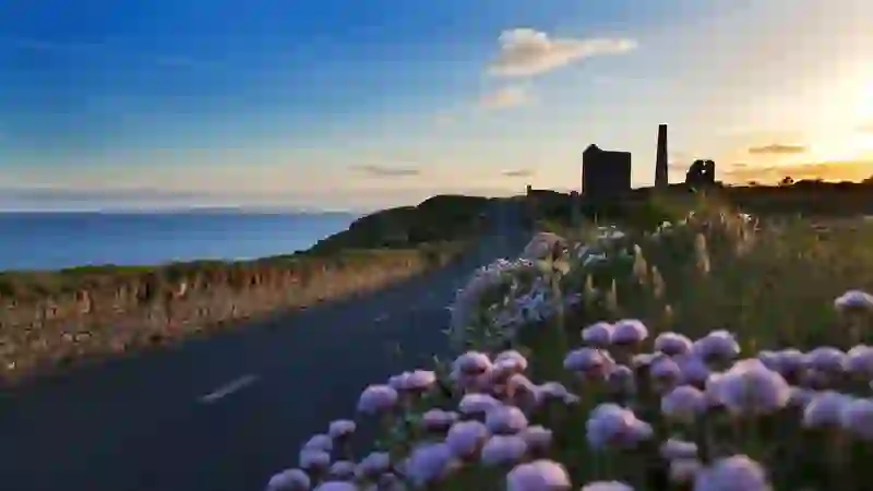 Coastal road along the Copper Coast in County Waterford with wildflowers and sea views at sunset.