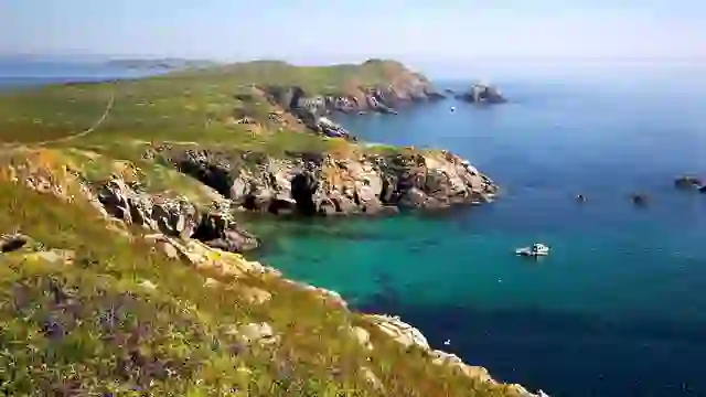 Wildflowers overlooking the Saltee Islands and turquoise waters off the County Wexford coast.