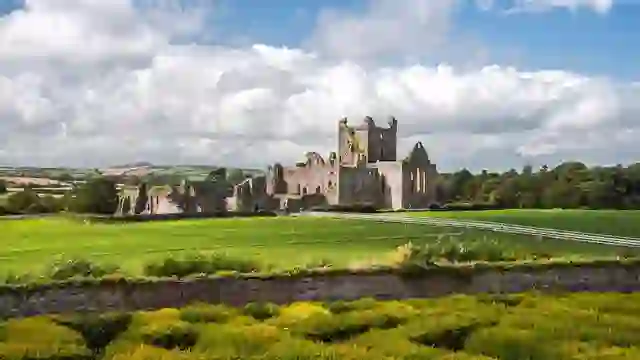 Ruins of Dunbrody Abbey surrounded by green fields in County Wexford.