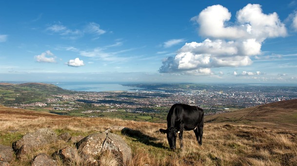 Belfast is a lean, green, sustainable machine