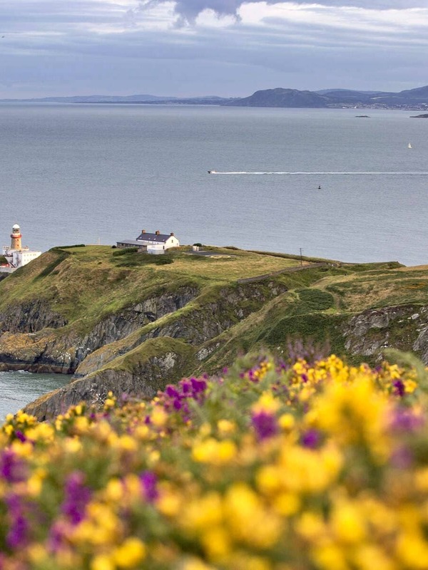 Vuurtoren op een kaap boven kliffen, met wilde bloemen in de voorgrond en uitzicht op zee.