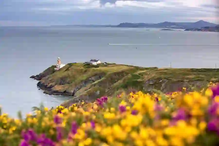 Lighthouse on a coastal headland above cliffs, with wildflowers in the foreground and sea views behind.