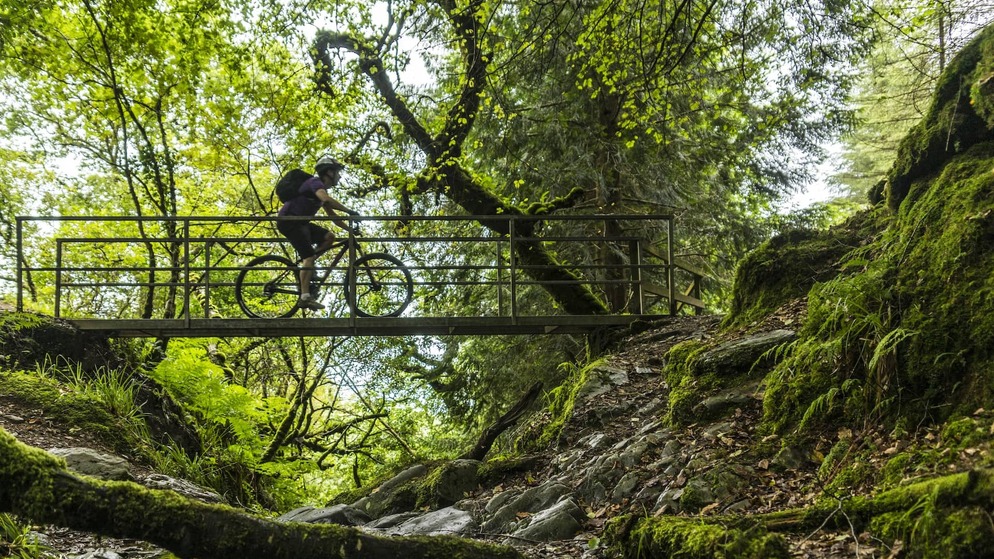 Radfahrer überqueren eine Holzbrücke auf einem Trail in den Ballyhoura Mountains, Grafschaft Limerick.