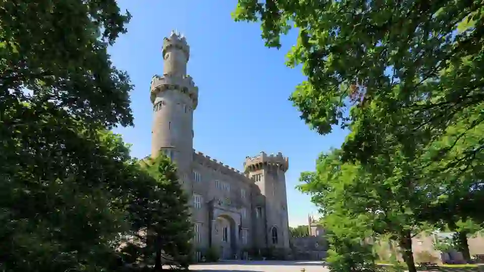 Charleville Castle, a striking neo-Gothic fortress in County Offaly, framed by lush green trees under a bright blue sky.