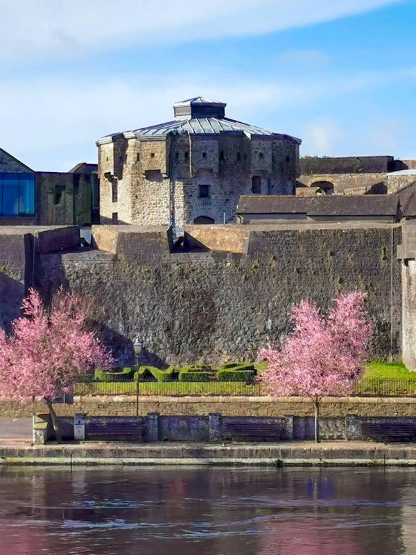 Athlone Castle in County Westmeath, with pink blossom trees reflected in the River Shannon on a bright spring day.