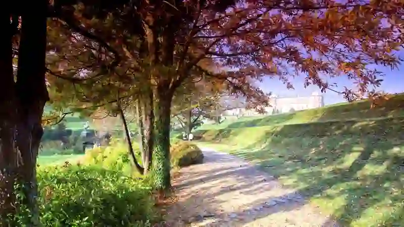 Tree-lined path at Powerscourt Estate, County Wicklow, in autumn, with golden leaves and the stately house in the distance.