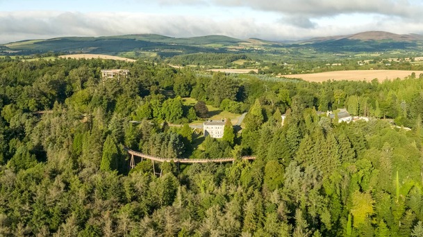 Explore the treetops in County Wicklow