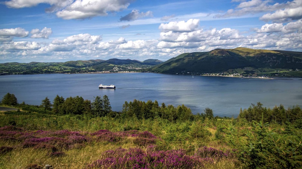 View over Carlingford Lough with a ferry crossing calm water, framed by heather-covered hills and distant mountains.