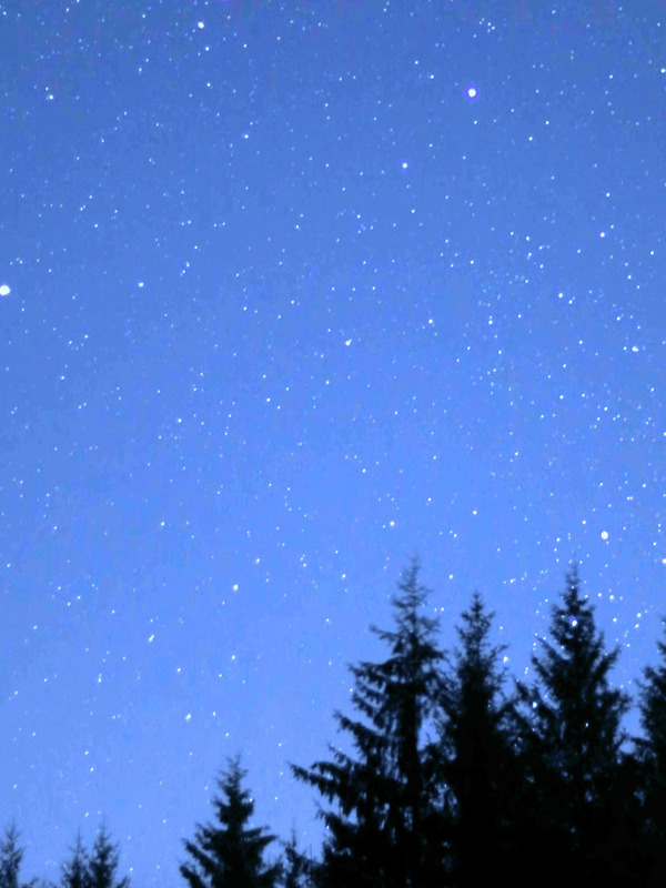 Modern, warmly lit OM Dark Sky Park & Observatory at night in County Tyrone, surrounded by forest under dark skies.