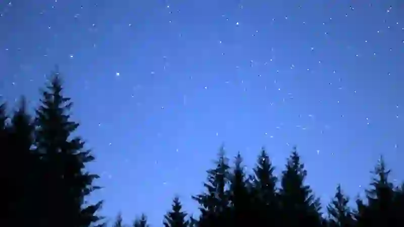Modern, warmly lit OM Dark Sky Park & Observatory at night in County Tyrone, surrounded by forest under dark skies.