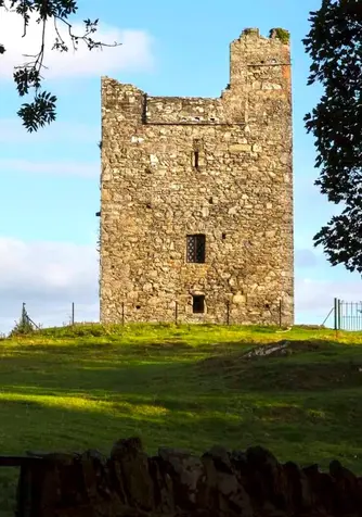 Das historische Schloss Audley, das von Bäumen im ländlichen Gebiet der Grafschaft Down, Nordirland, umrahmt wird.