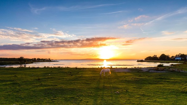 Discover the sights at Northern Ireland's largest lake