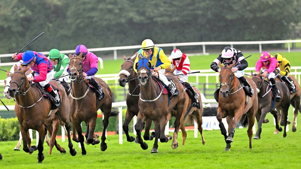 Horses and jockeys in colourful silks race on the track at the Galway Races festival in Ireland.
