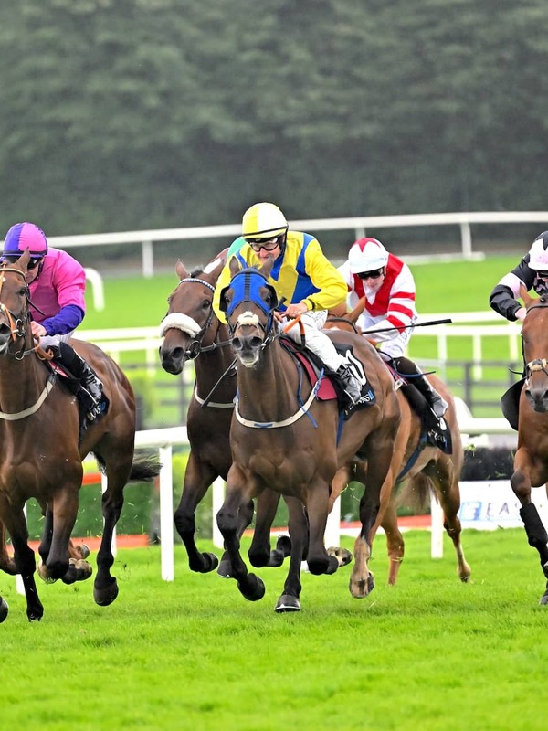 Jockeys in colourful silks race thoroughbred horses at full speed on a grassy track during the Galway Races in Ireland.