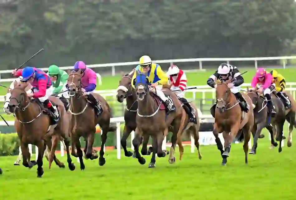 Jockeys in colourful silks race thoroughbred horses at full speed on a grassy track during the Galway Races in Ireland.