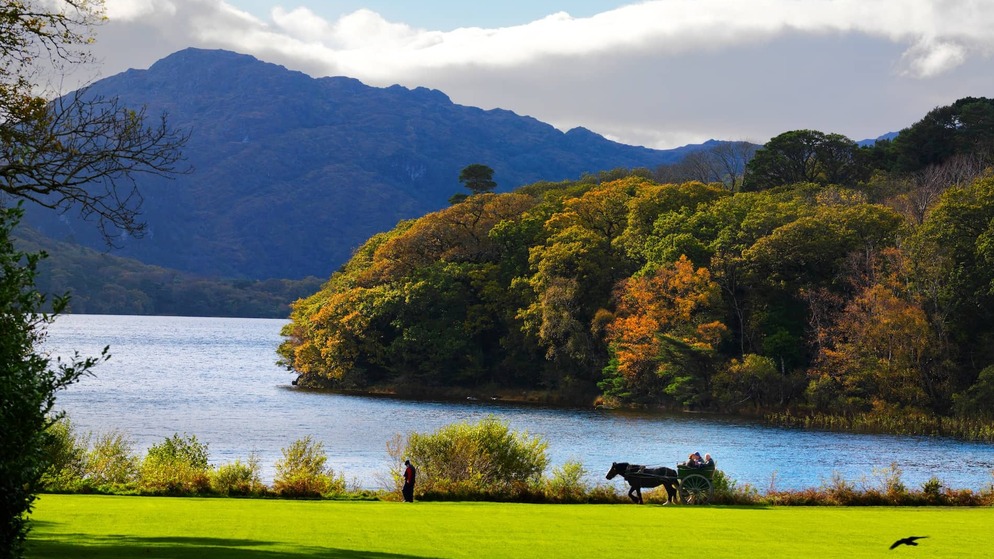 Jaunting car passes autumn trees by a lakeside with a mountain backdrop in Killarney National Park in County Kerry.