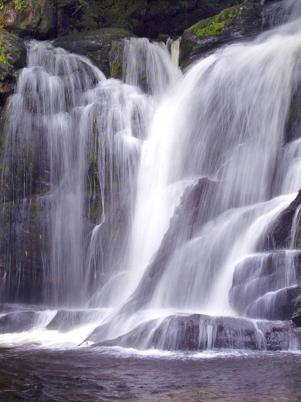 Cascading waters of Torc Waterfall flow through mossy rocks and green woodland in Killarney National Park.