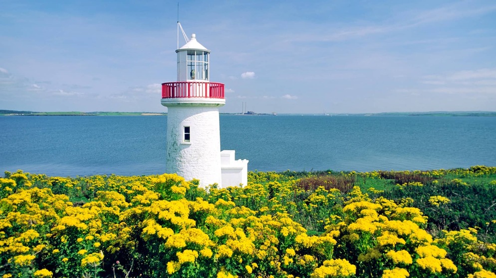 Small white lighthouse with a red railing surrounded by yellow wildflowers on Scattery Island, County Clare.