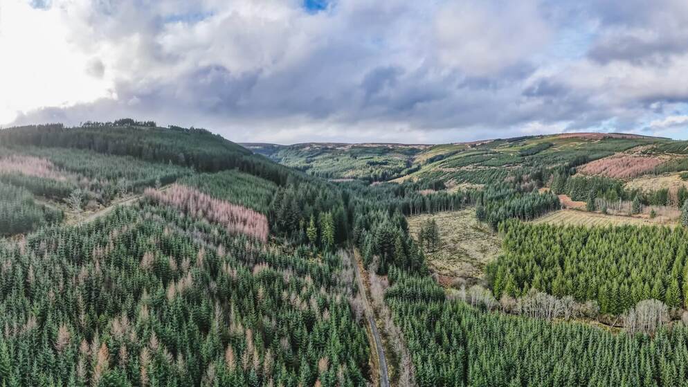 slieve-bloom-mountains-glendine-gap-county-laois-hero-v2