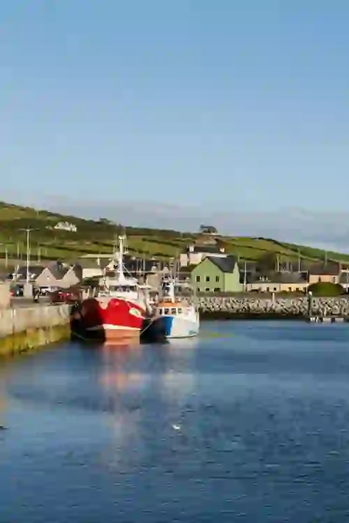 dingle-dingleharbour-portrait