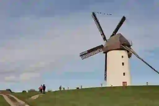 Skerries Mills NEW