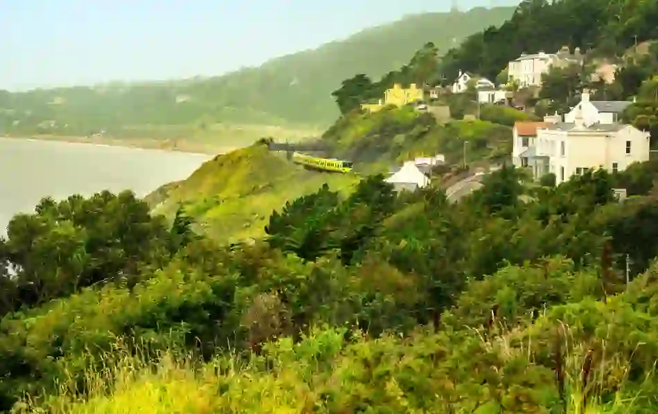 image-six-killiney-dart
