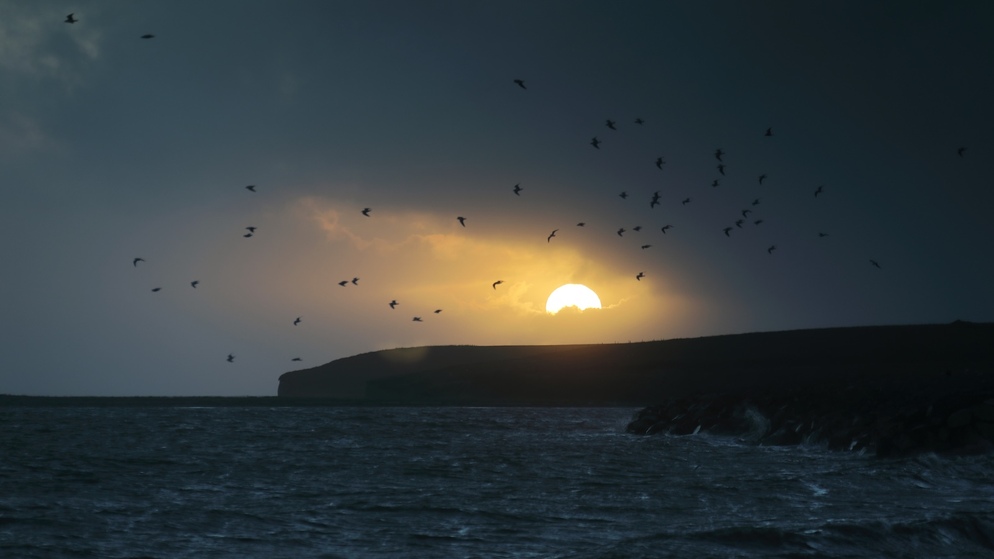 Sunset over the Atlantic Ocean at Salthill, Galway city, with silhouetted birds flying against a dramatic evening sky.