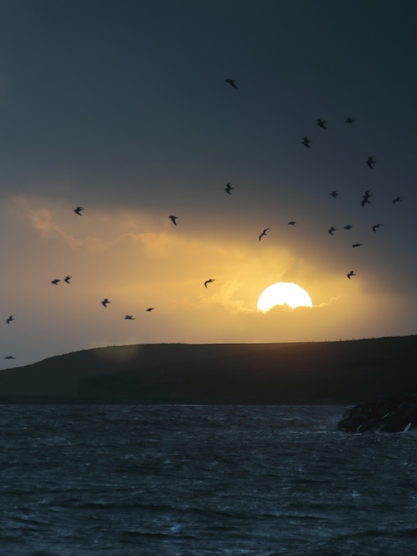 Sunset over the Atlantic Ocean at Salthill, Galway city, with silhouetted birds flying against a dramatic evening sky.