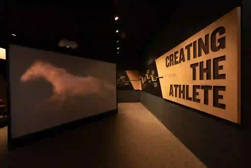 immersive