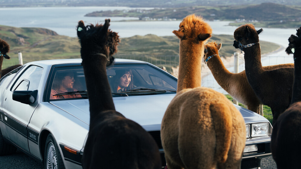Two women encounter curious alpacas while road-tripping in a classic DeLorean on the Wild Atlantic Way, Ireland.