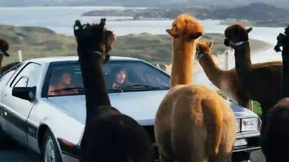 roadtrips-bg-wild-alpaca-way-1